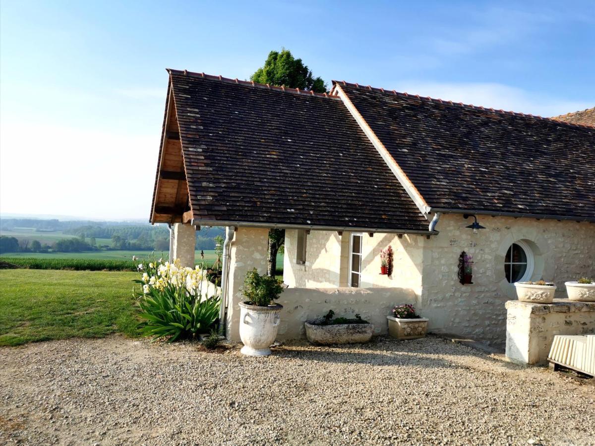 Gite De Charme Dans Un Cadre Calme Et Reposant Châtellerault Екстериор снимка
