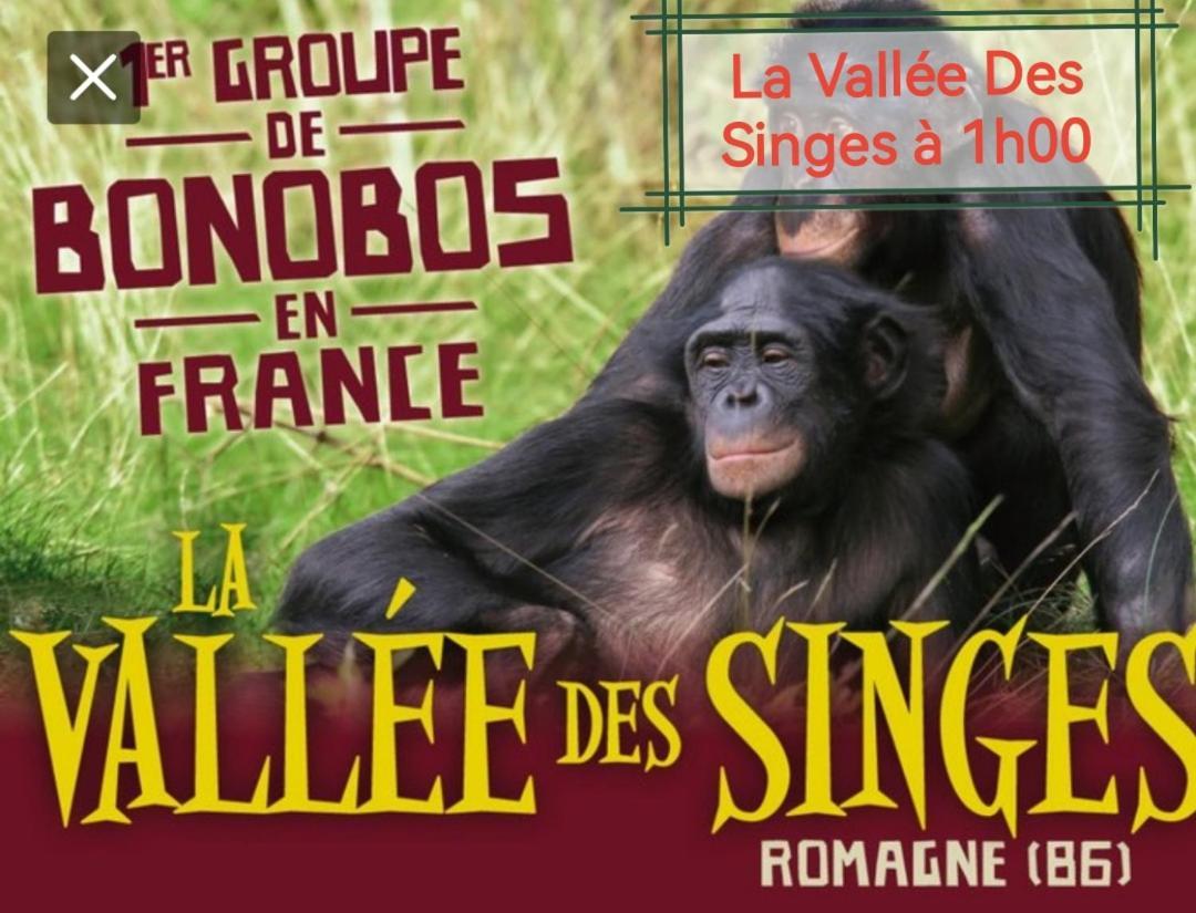 Gite De Charme Dans Un Cadre Calme Et Reposant Châtellerault Екстериор снимка